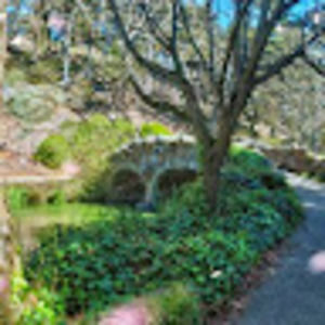 Meet your Posher, Alan